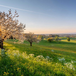 © Thurgau Tourismus